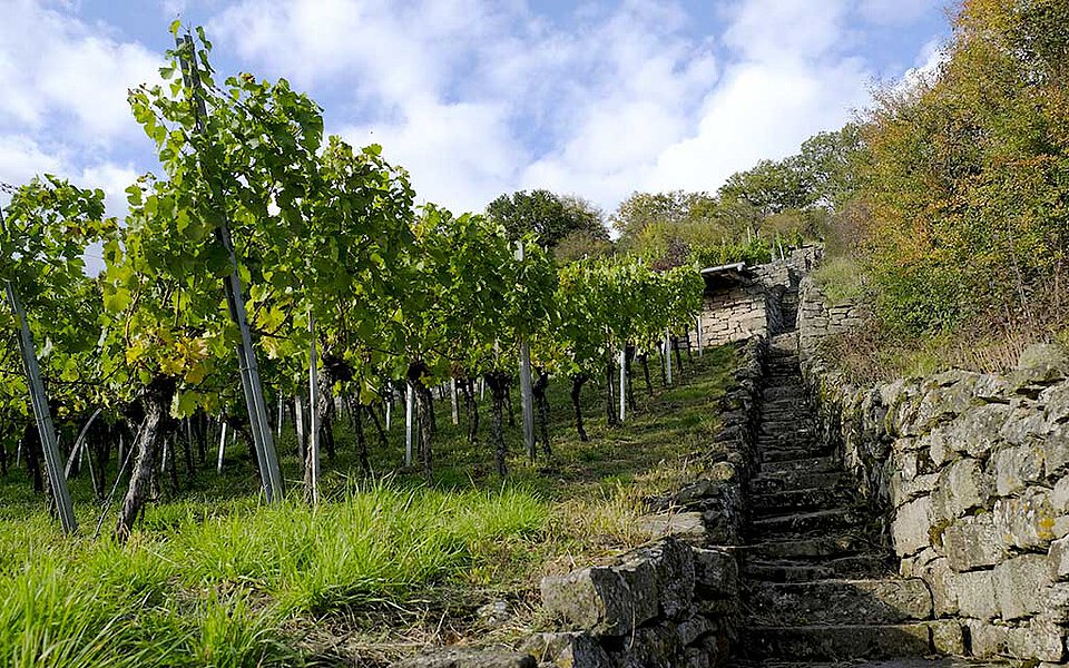Sommerach Urlaub in einem ehemaligen Weingut von 1680 mit Boxspringbetten Boxspringbetten Hotel in Sommerach in historischem Weingut